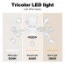 8011-600-Ceiling fan light