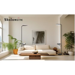 36W LED Floor Lamp 